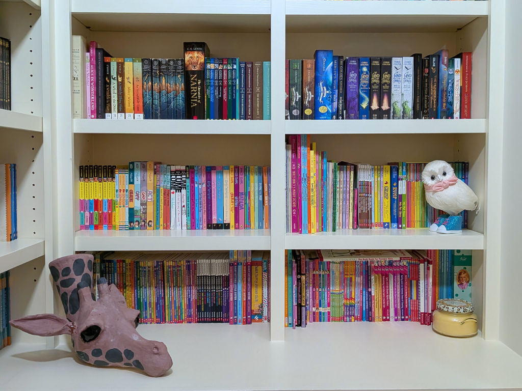 Color coding home organization of books perfectly organized and color coded on a shelf